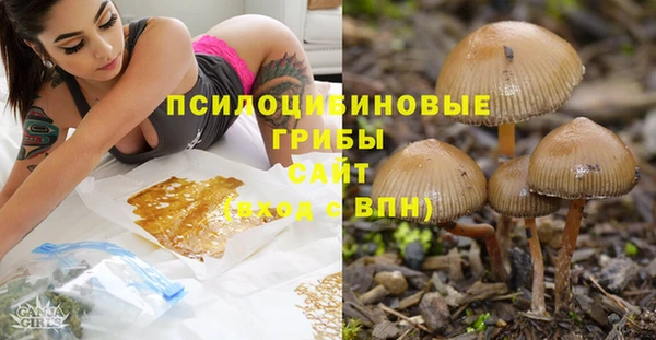 дмт Володарск