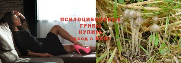 соль ск Волосово