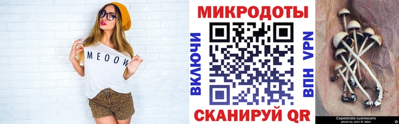 Псилоцибиновые грибы Cubensis  Купить  Лянтор 