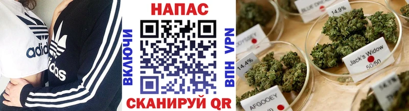 Купить где Лянтор Бошки марихуана THC 21%
